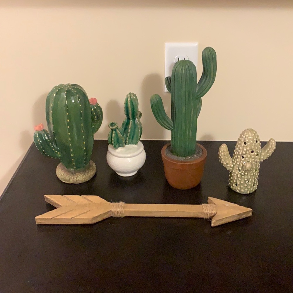 COPY - Southwest cactus decor